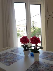 Beautiful City Center Flat