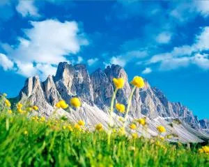 Art Apartment Schatzer - San Pietro