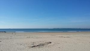 Appartements Appartement T3 - 4 personnes - Face Ocean - Thalasso : photos des chambres