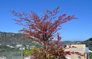 Filion Suites Resort & Spa Rethymno Greece
