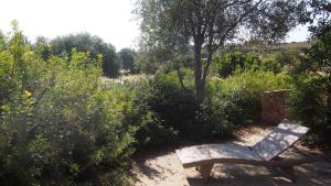 Appartements U Casinu : photos des chambres