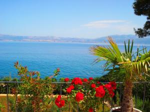 3 star apartment Apartments Sea Star Sutivan Croatia