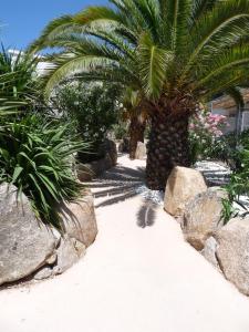 Hotels Golfe Hotel & Spa Porto-Vecchio : photos des chambres