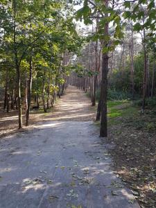 Perła Południa Hryniewieckiego 7C