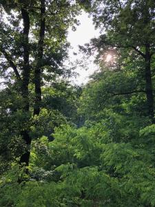 "La Romantica" Superior Chalet Rifugio Nel Bosco