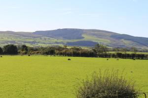 Miners Cottage I Self Catering Holiday Cottage Self Contained