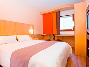 Hotels ibis Istres Trigance : Chambre Double Standard