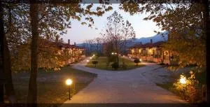 Paradise Studios - Zovik