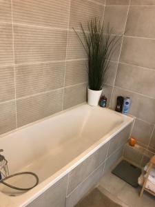 35m2 neuf, plein sud, dernier etage avec terrasse