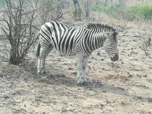 Bushbuckridge Micanolia Guest House