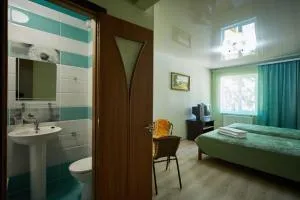 Domashniy - Zinʼkovtsy