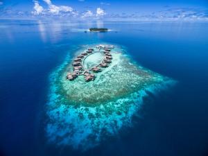 Gaafu Alifu Atoll Meradhoo Island, 17100, Maldives.