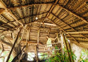Back of Beyond - Wild Haven