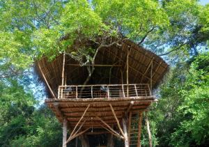 Back of Beyond - Wild Haven