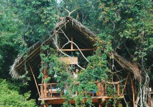 Back of Beyond - Wild Haven