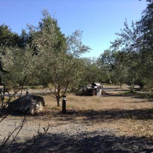 Campings Roulottes et Cabanes de Saint Cerice : photos des chambres