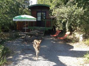 Campings Roulottes et Cabanes de Saint Cerice : photos des chambres