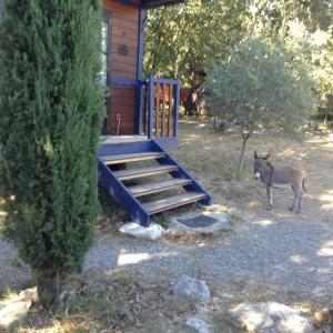 Campings Roulottes et Cabanes de Saint Cerice : photos des chambres