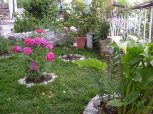 Apartments Bovan