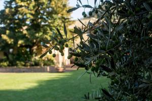 Borgo Villa Risi