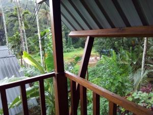 Sinharaja Forest Sanctuary