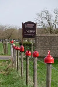 莫什尔墨伦住宿加早餐旅馆 - Mesch