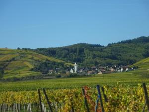Ecologis du Vignoble