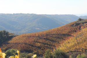 Hotels Hotel Le Domaine des Vignes Ampuis Lyon Sud Vienne : photos des chambres