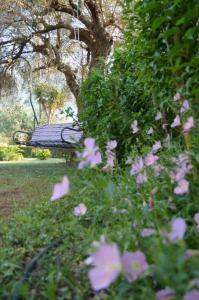 Sunny Garden Epirus Greece