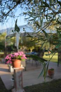 Sunny Garden Epirus Greece