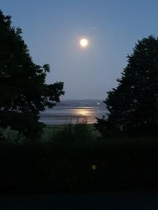 Lymestone Boutique Accommodation