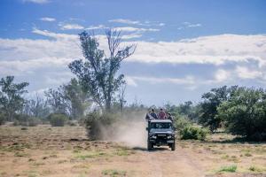 Karri Grove Cottages