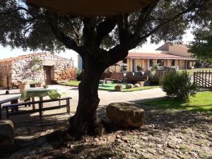 AGRITURISMO SA è PADEDDA img5