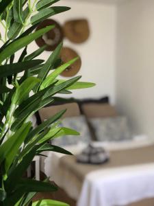 Apartamento con espectaculares vistas