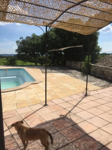 Maisons de vacances LA MARECHALE : photos des chambres