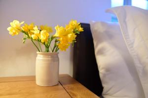 Dundas Flat, 1 bedroom, Comrie