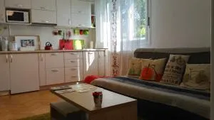 B Apartments - Bike Apartment - 蒂米什瓦拉