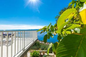 Apartments Luxury view