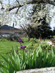 Maisons de vacances L'Olivier Chez Mame Marthe : photos des chambres