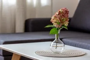 Violetos Lux Apartamentai2 - Druskininkai