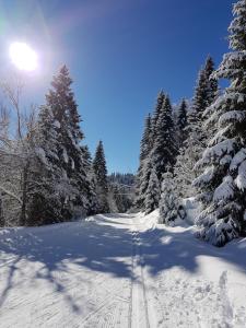 Hotels Lodge Hotel Les Rousses : photos des chambres