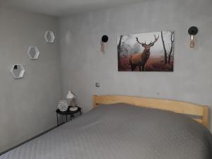 NOC W GÓRACH