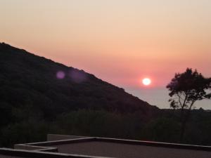Villas Residence de Tourisme Mare e Macchia : photos des chambres