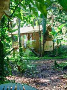 Eco Chalés Caminho das Águas - Barra Grande