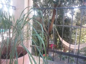 Ses Alzines Apartamento integrado en Casa Rural Habitada