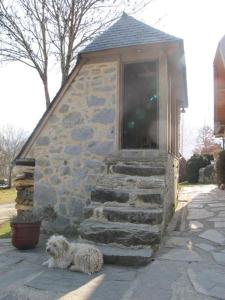 Maisons d'hotes Les gerbes : photos des chambres