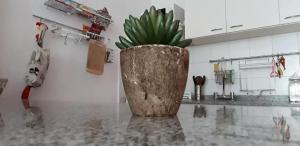 Mi Lugar en Buenos Aires II