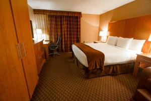 Executive Room One King Bed room in Mirabeau Park Hotel