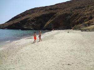 Cozy Citrus Garden House by the Seaside. Andros Greece