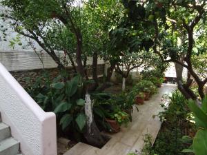 Cozy Citrus Garden House by the Seaside. Andros Greece